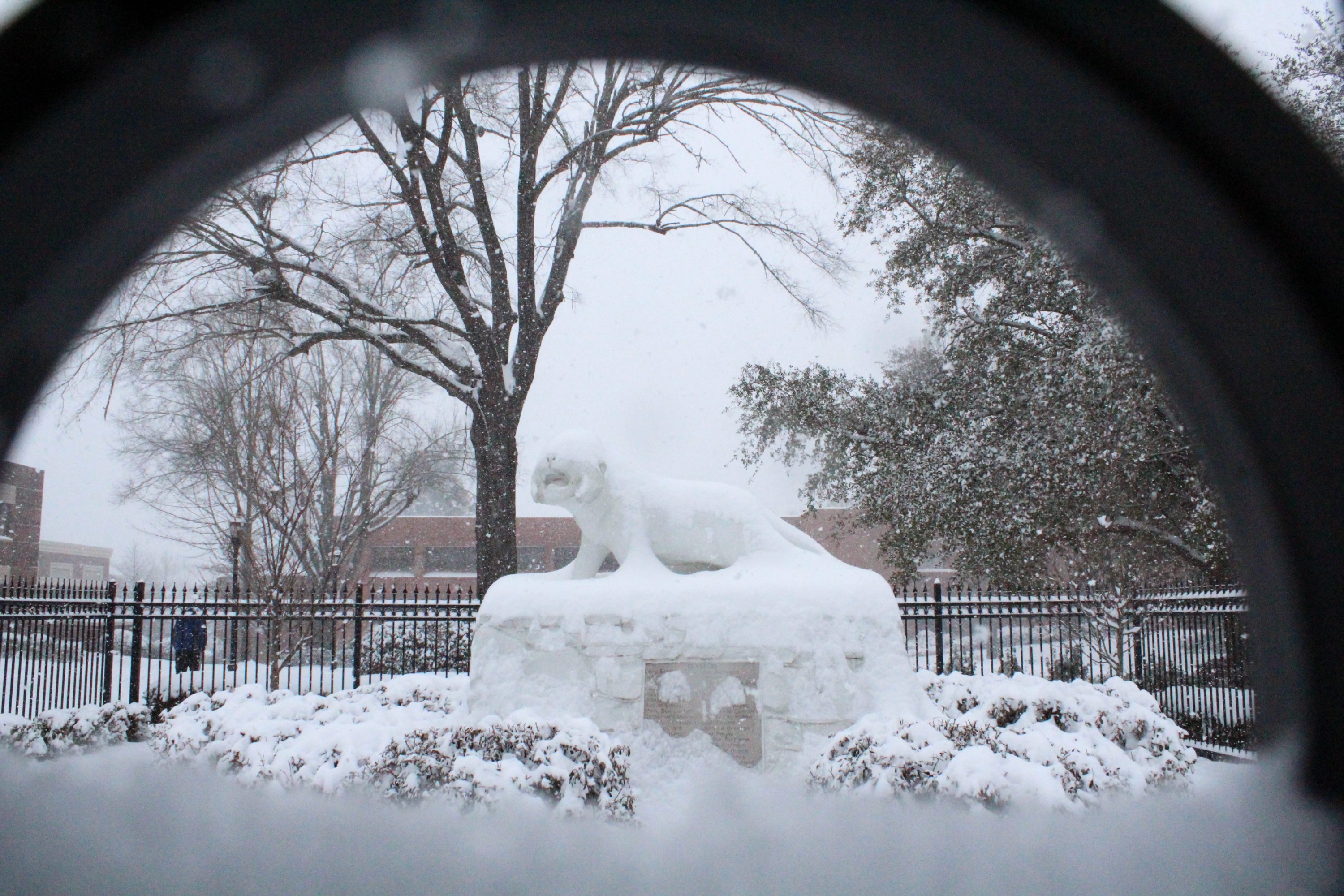 tiger statue snow