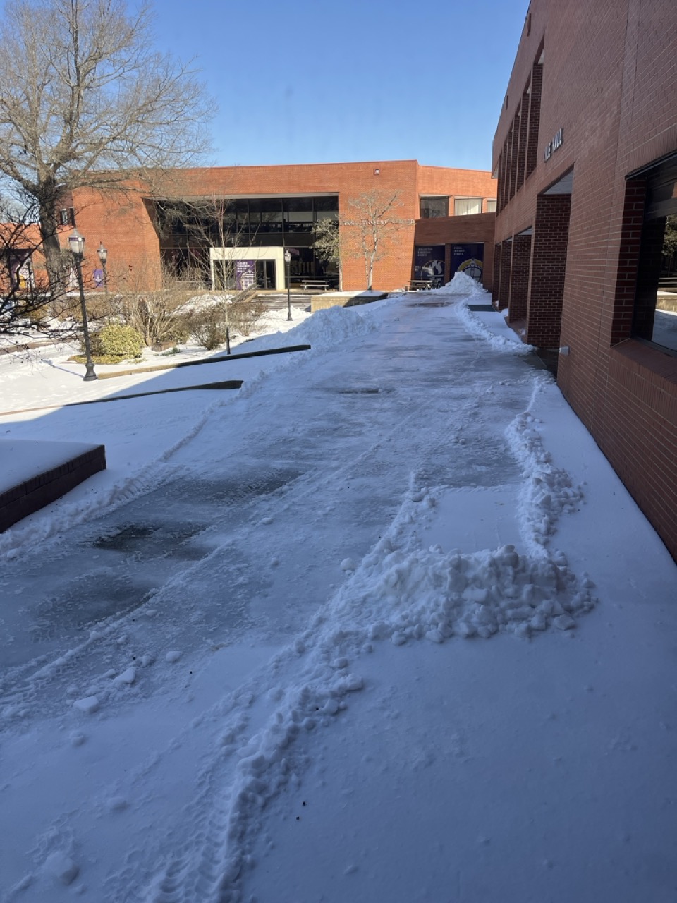 Snow and ice near Lile Hall on 1/29/26