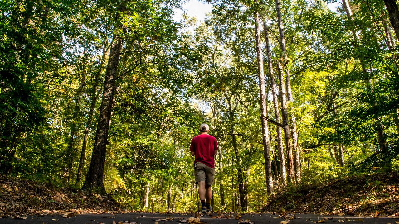 Student walks in forest